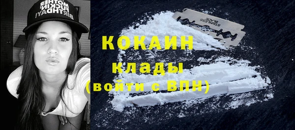 трава Пересвет