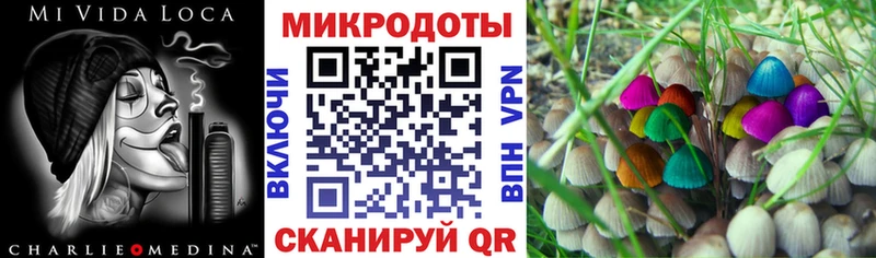 Галлюциногенные грибы Cubensis  Каменка 